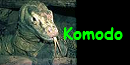 Komodo